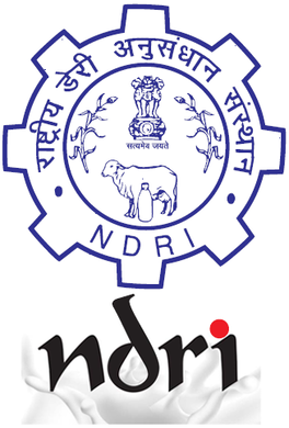 NDRI