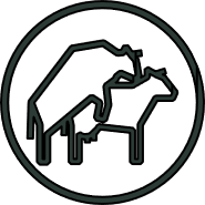 Heat/PD Alert Icon