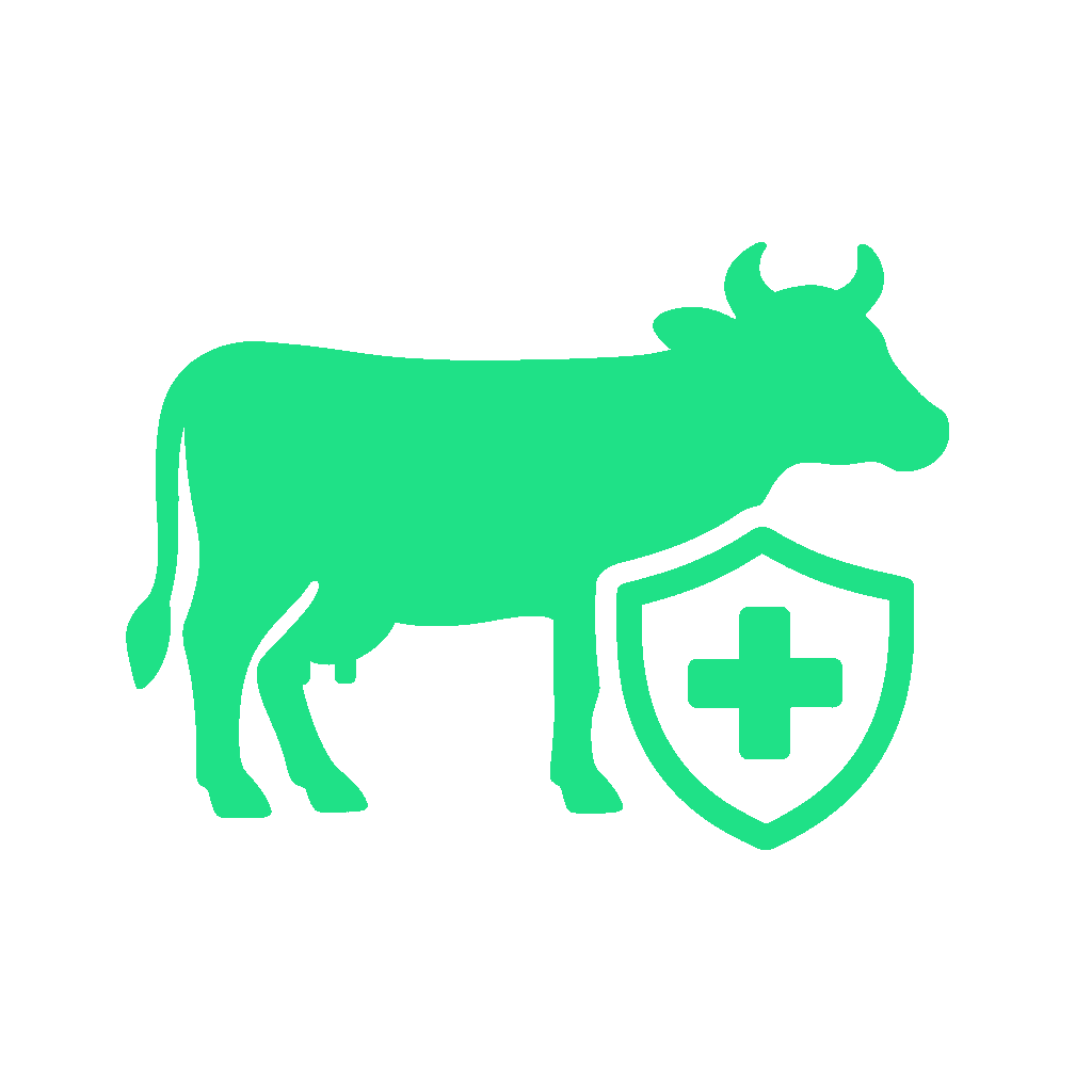 Health Icon